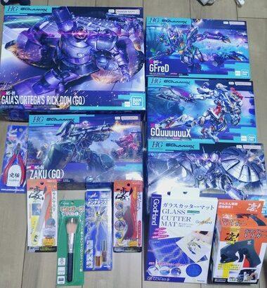 ヨドバシのガンプラ福袋どうなん