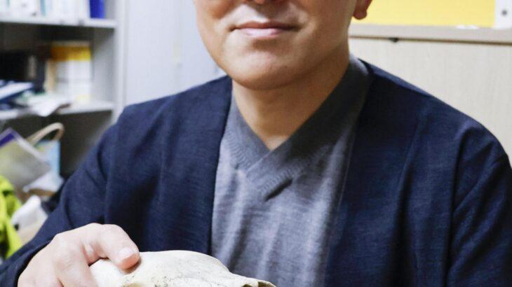 【襲撃】「犬を食料と認識？」相次ぐクマ被害、飼い犬被害、東北で10匹超「屋内飼育を推奨」