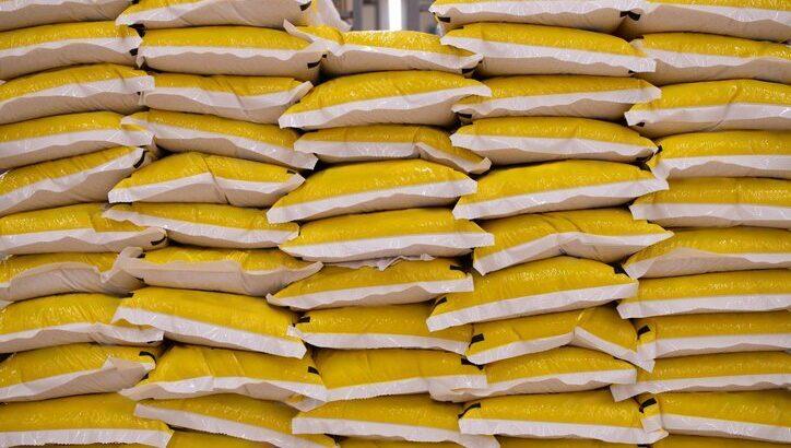 【おこめ】コメ価格は「損切り」間近か　卸最大手・神明社長の「暴落」発言の真意とは　「5キロ3500円」は実現するか