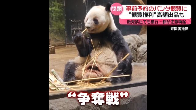 「やめてほしい…」“パンダ観覧権利”ネットに高額出品　販売禁止でも横行　都が注意喚起