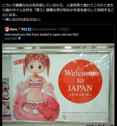 【悲報】立憲民主党の議員｢”苺ましまろ”みたいな醜悪なものを許容しているから12歳のタイ人女性を『買う』醜悪な男が街なかを涎を垂らして徘徊することになる｣