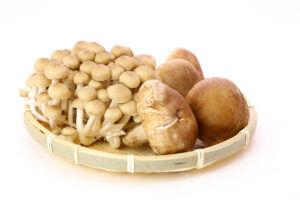 何でキノコ類って椎茸だけ嫌いな人多いの？