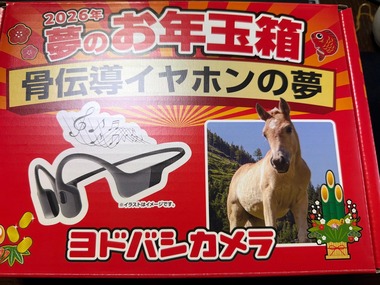 ヨドバシカメラの福袋｢夢のお年玉箱2026｣の中身まとめ