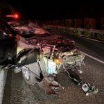 釣りアイドル･神野梓さん､高速道路でシカを避けきれず事故 iPhoneの｢衝突事故検出｣機能に救われる