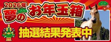 ヨドバシカメラ､福袋｢2026年夢のお年玉箱｣の第2回抽選結果を発表中
