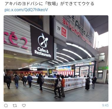 秋葉原のヨドバシカメラ､すでに福袋待機の列ができる ガチャポンマシンで隔離されて牧場みたい