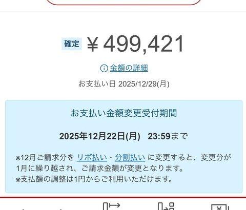 今月のカード支払いが50万逝きそうなんだが