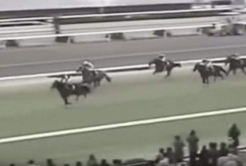 【動画】ディープインパクトの若駒Sでの末脚がレベチ過ぎる