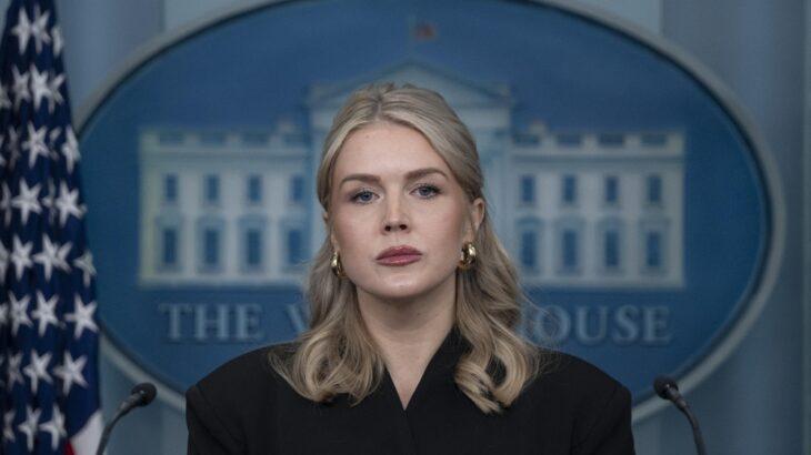 アメリカ「中国とロシアの影響力を排除する」 グリーンランド領有について説明