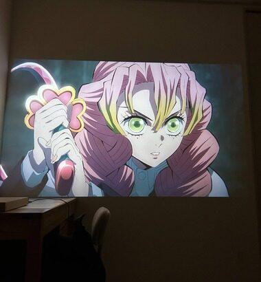 プロジェクター買ったんだけど見て