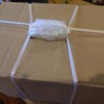 【画像】福袋買ってきたから開けるwwwww