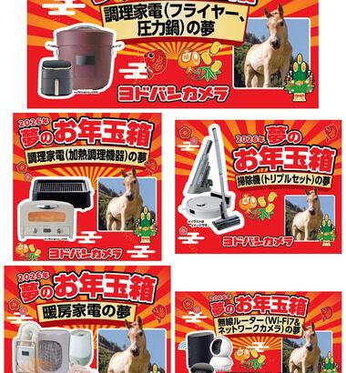 ヨドバシカメラの福袋､まだ5種類も残ってる｢調理家電(フライヤー､圧力鍋)の夢｣や｢暖房家電の夢｣など