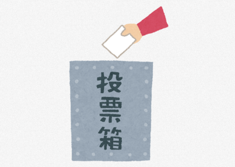 選挙の白票ってなんか意味あんの？