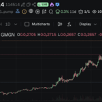 【朗報】114514コイン、大暴騰ｗｗｗｗｗ