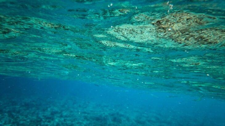 【中国】日本が南鳥島のレアアース試掘へ　中国ネット「何度言ったら分かるのか。レアアースが難しいのは採掘ではなく精錬だ」