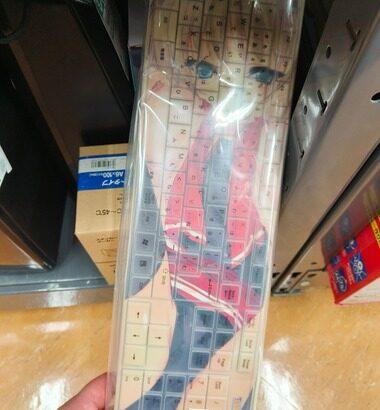 【画像】ハードオフに来たんだがとんでもないものが売ってた