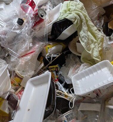 【画像】ワイの部屋､ゴミ屋敷みたいになる