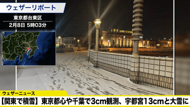 【悲報】東京、大雪ｗｗｗｗｗｗｗｗｗｗ