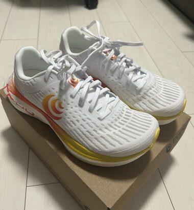 27000円の靴が届いたぞwwwww