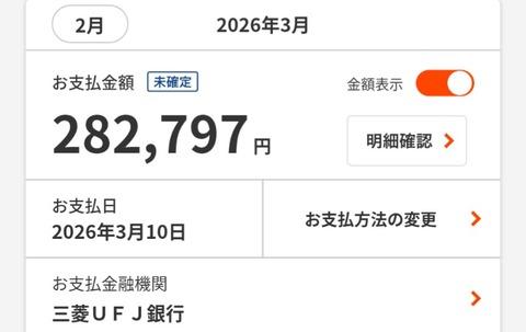 【画像あり】手取り15万ぼくの「来月のクレカ引き落とし額」がこちらｗｗｗｗｗ