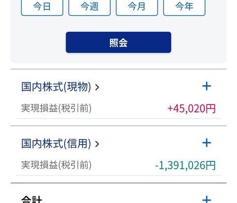 【画像あり】ワイの「NISA」、ド派手に逝く・・・