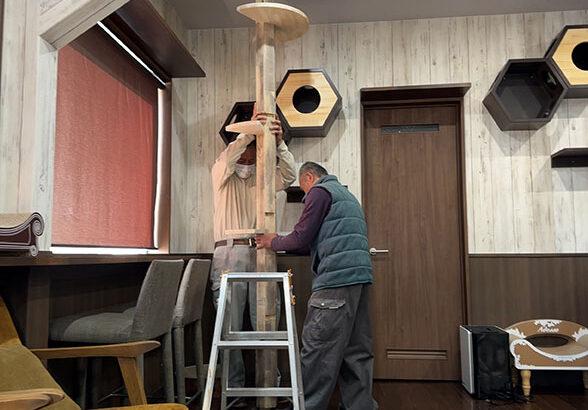 【不動産】「猫を飼わない人は入居お断り」多頭飼い大歓迎！ 保護猫36匹を救った不動産屋の“究極の猫ファースト”家づくりが話題