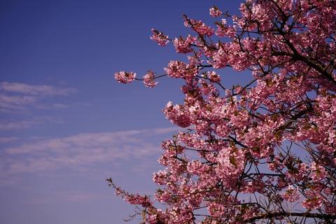 【衝撃】令和になって「ネトウヨ」が増えた理由挙げてけｗｗｗ