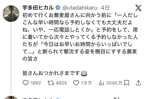 【悲報】宇多田ヒカル、無事SNSモンスターになる