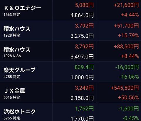 【画像あり】ワイ、株式投資歴約2ヶ月、やらかしまくって狂う