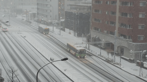 【悲報】東京、雪が積もり絶望…