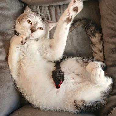 【悲報】Amazonで5000円で買ったデジカメの画質がゴミすぎて憤死する……