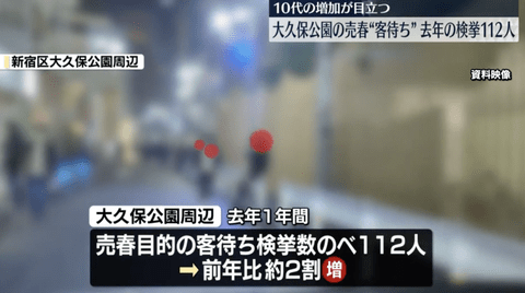【悲報】大久保公園の立ちんぼ女性、112人も逮捕されてしまう