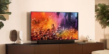 【悲報】29歳以下の単身男性､4割が｢テレビ持たず｣ スマホ･タブレットで代替 2人以上の家庭の平均保有数も2台切る