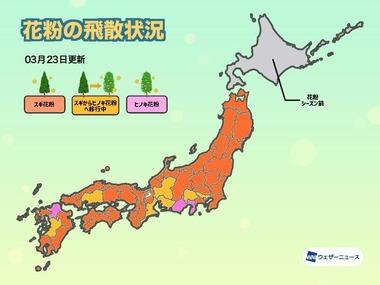 【朗報】スギ花粉のピークが去ったｗｗｗｗｗｗｗｗｗｗ