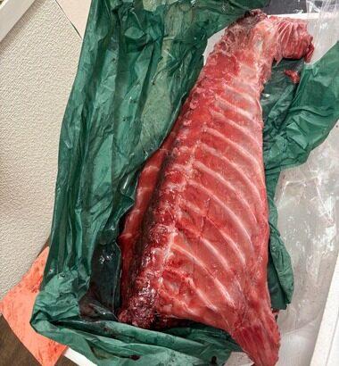 【画像】ネギトロ丸ごと一匹買ったからねぎ取っていくでｗｗｗｗｗ