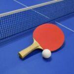 卓球って見てもつまんなくね？