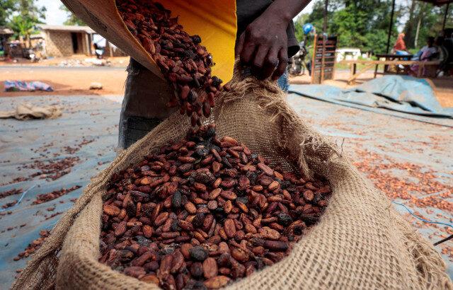 コーヒー相場に下落予想、「ココア型暴落」は再来するか