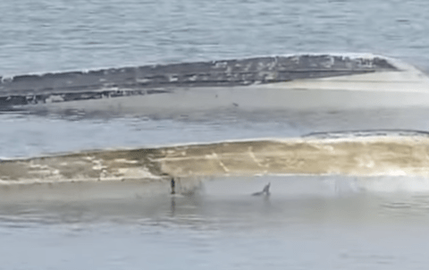 辺野古の事故って最終的にどうなると思う？