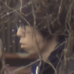 【悲報】安達優季容疑者(37)のスマホ検索履歴「ドラレコ　消し方」