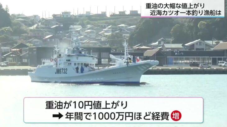 【宮崎】燃料高騰で「カツオ」と「マンゴー」がピンチ!経費1,000万円増も…漁協の苦悩とJAの独自支援