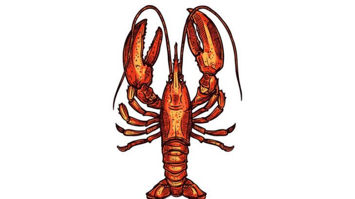 【海外】アニマルライツ活動家「自由が必要だ！」　飲食店水槽のロブスターを海に投げ入れて死なせる