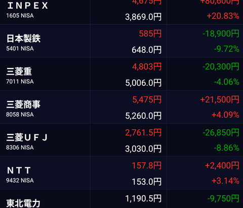 【画像あり】僕のNISAがこれなんだけどどうしたらいい？