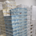 【悲報】ラブブ転売ヤーさん、大量在庫抱えて無事死亡