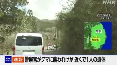 クマの季節到来 岩手県紫波町で行方不明者の捜索中の警察官がクマに襲われ怪我 現場近くで1人の遺体