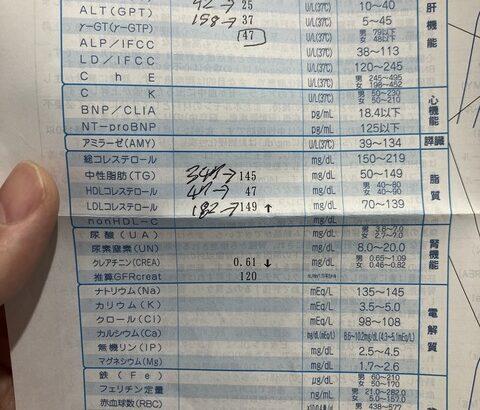 【朗報】脂肪肝治ったあああああああああ😂