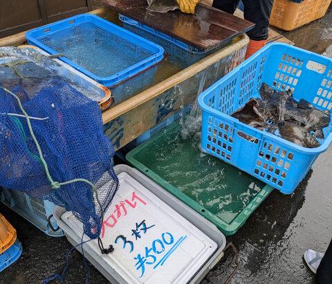 【画像あり】「こういうの」を勢いで買えないヤツｗｗｗｗｗ