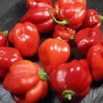 【悲報】ペヤング獄激辛Final、そろそろ本当に規制されそうなほど辛い模様