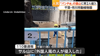 人気子ザル「パンチ」がいる市川市動植物園のサル山に着ぐるみ姿で侵入、米国籍の男2人逮捕「逮捕には納得していない」
