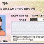 マイナンバーカード､｢本人希望･その他｣の理由で廃止93万枚ｗｗｗｗｗ