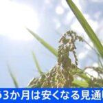 【朗報】コメ価格､向こう3か月は安くなる見通し